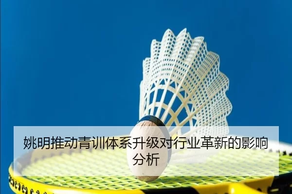 姚明推动青训体系升级对行业革新的影响分析